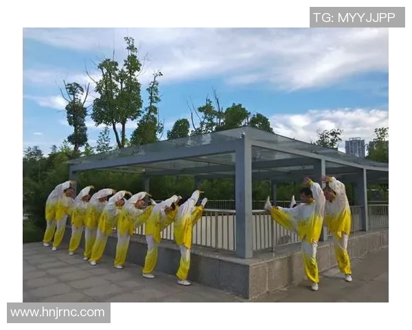 掌握48式太极拳的精髓视频教程助你轻松入门与提升技艺