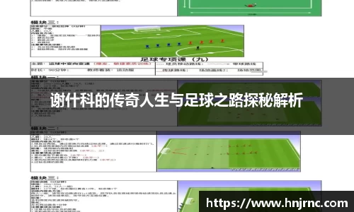 谢什科的传奇人生与足球之路探秘解析